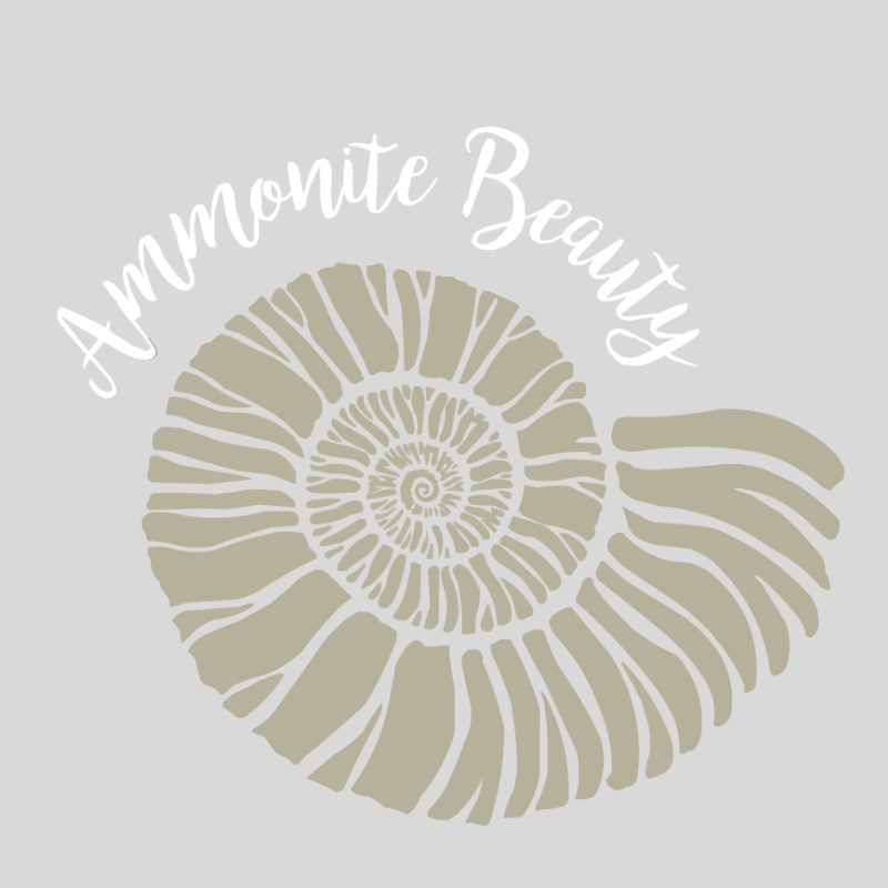 Ammonite Beauty